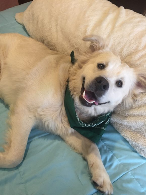 Columbus Humane Society